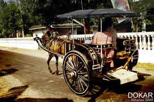 Melestarikan DOKAR Blitar